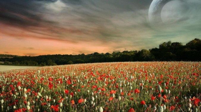 如何评价邹市明妻子冉莹颖？